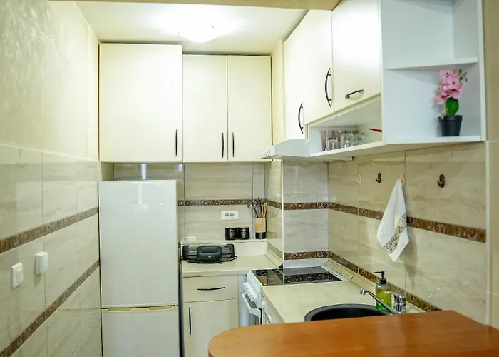 Appartement Modern In Center